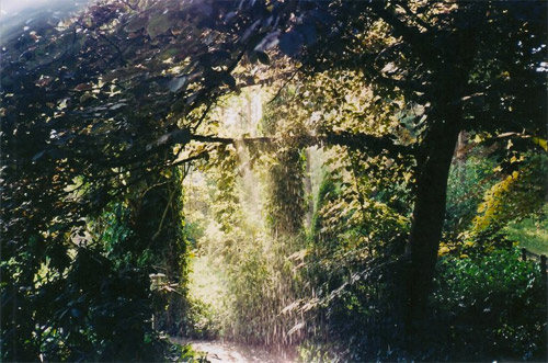 Photographer Sarah Bernhard photography