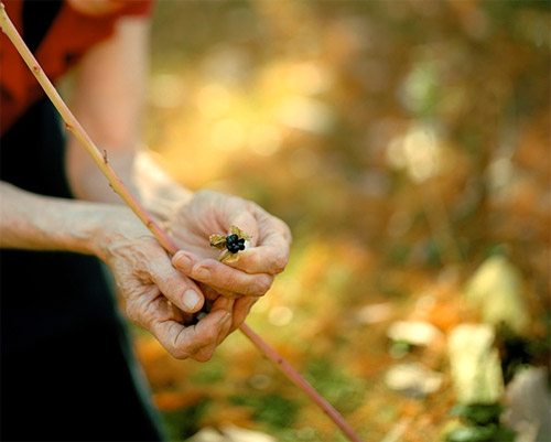 Photographer Susan Worsham photography