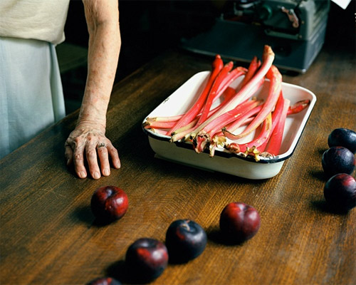 Photographer Susan Worsham photography