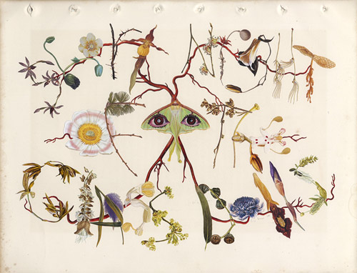 collages Artist Alexis Anne Mackenzie