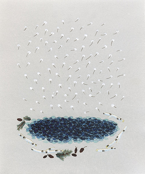 Drawings by Anna Emilia Laitinen