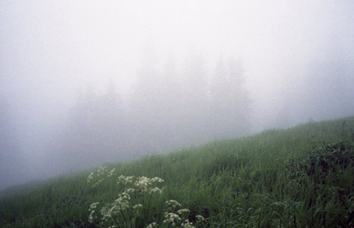 Photographer Anett Holmvik photography