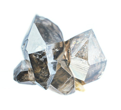 Artist painter Carly Waito paintings