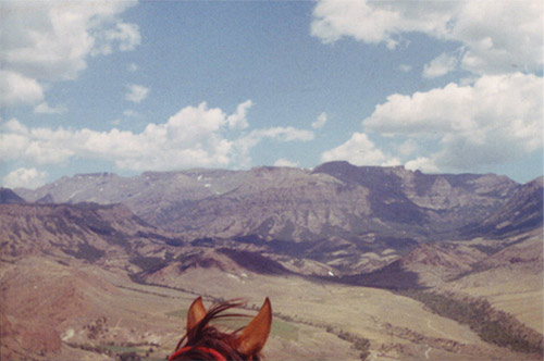 Zara Dear America photography project