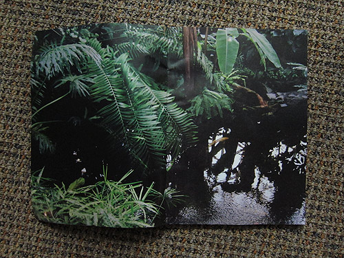 The Plant Journal photography magazine