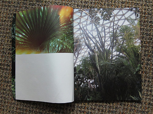 The Plant Journal photography magazine