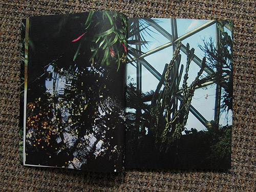 The Plant Journal photography magazine