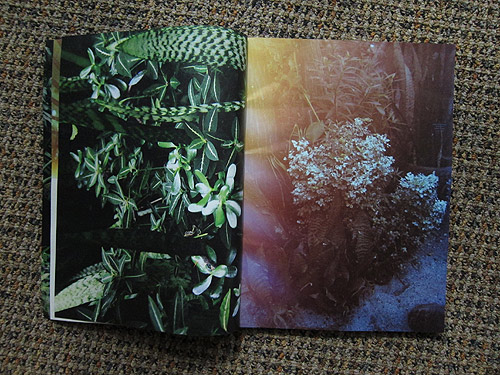 The Plant Journal photography magazine