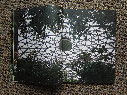 The Plant Journal photography magazine