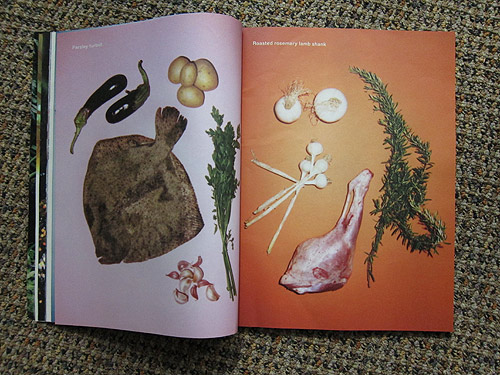 The Plant Journal photography magazine