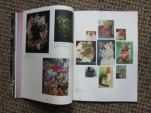 The Plant Journal photography magazine