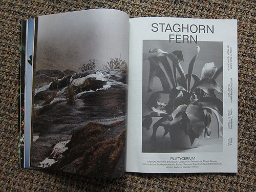 The Plant Journal photography magazine