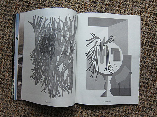 The Plant Journal photography magazine