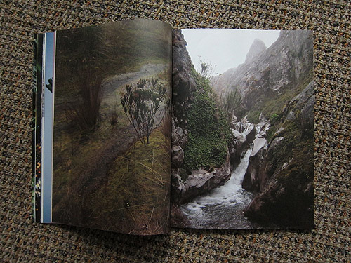 The Plant Journal photography magazine