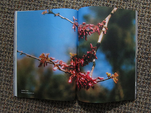 The Plant Journal photography magazine