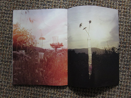 The Plant Journal photography magazine