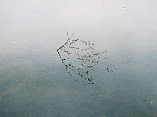 Photographer Sarah Hermans