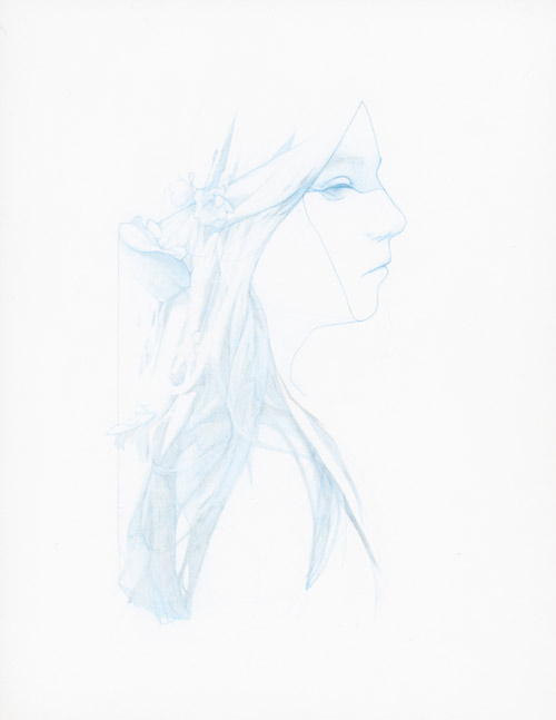 Drawings by artist Steve Kim