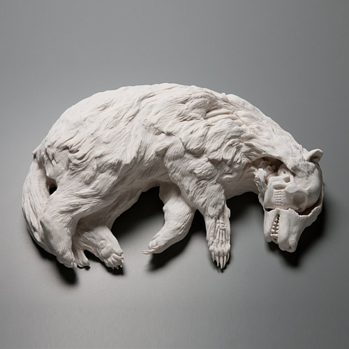 Porcelain sculptures by Kate MacDowell