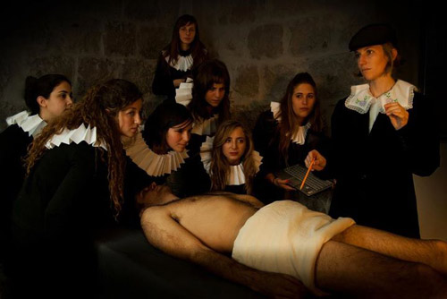 anatomy