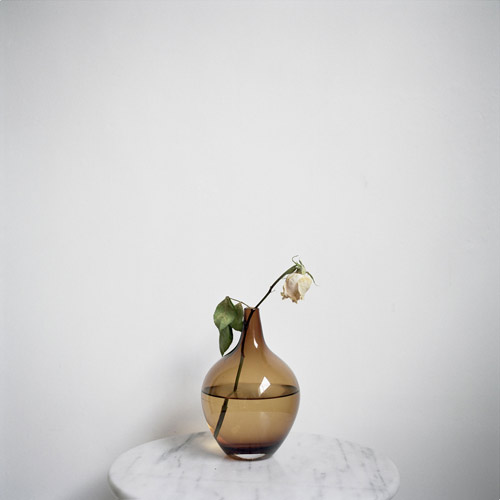 52 bunches of flowers i bought myself by photographer Julia Schauenburg
