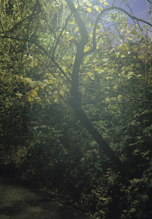 Photographer Marnix Goossens photography