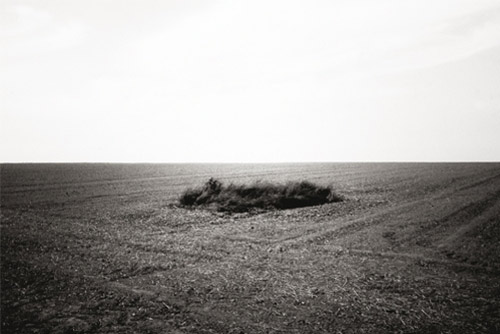 Photographer Yann Orhan photography