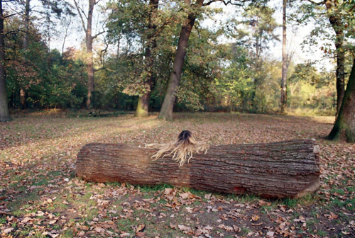 Photographer Amandine Paulandré