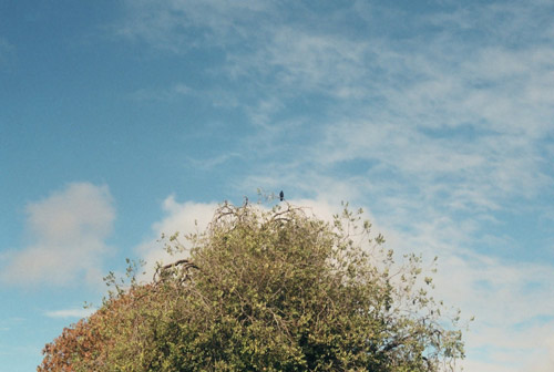 Photographer Amandine Paulandré