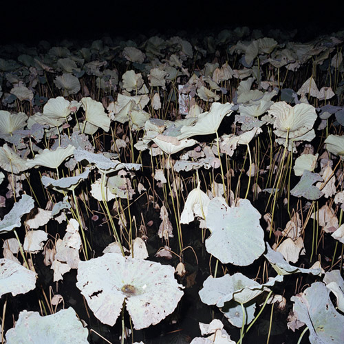 Photographer Klara Kallstrom