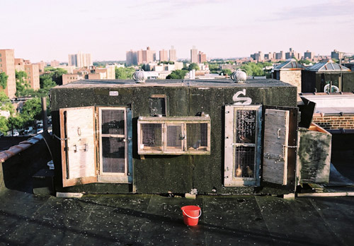 Photographer Aaron Wojack