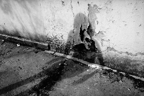 Photographer Dusdin Condren