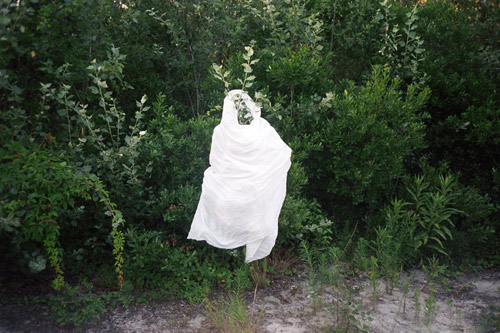 Photographer Dusdin Condren