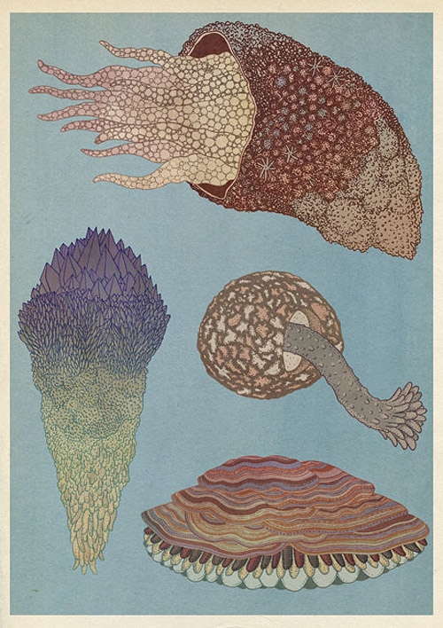 Illustrator Katie Scott