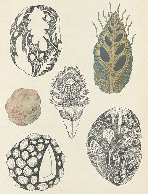 Illustrator Katie Scott