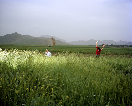 Photographer Maziar Moradi photography