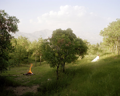 Photographer Maziar Moradi photography