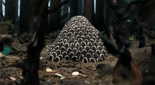 Seven Days In The Woods animation by Peter Larsson