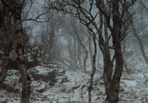 Photographer Phil Elverum photography