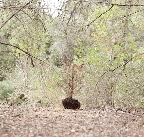 Photographer Alan W. George photography