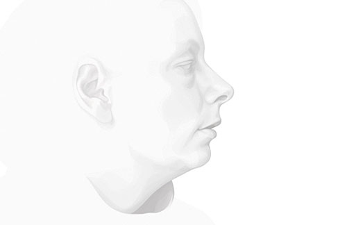 Artist illustrator Jules Julien
