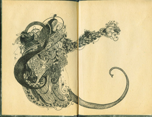Drawings by artist Melissa Murillo meyoko