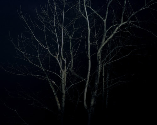 Photographer Emil Kozak photography