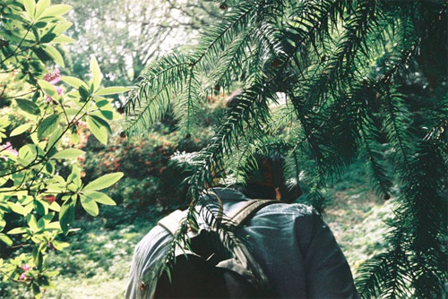 Photographer Mari Kojima photography