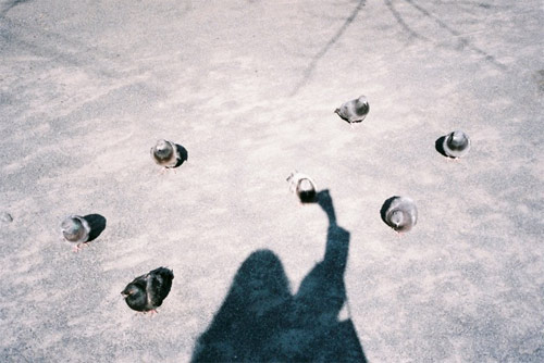 Photographer Mari Kojima photography