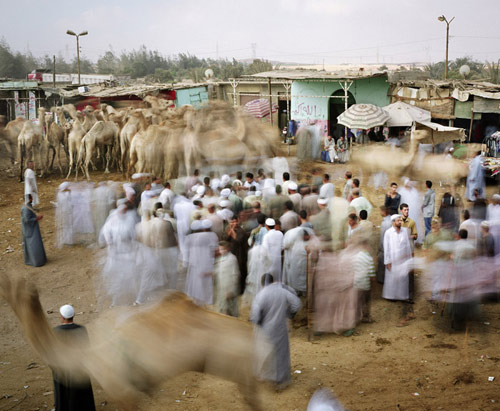 Photographer Martin Roemers photography