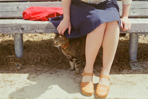 photographer ali bosworth