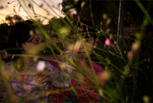 Photographer Sam Harris