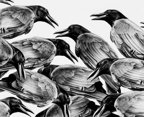 Drawings by artist Christina Empedocles