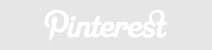 social pinterest button